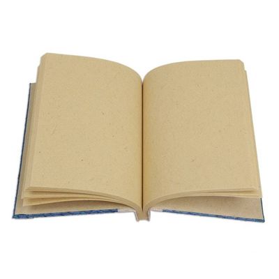 Alternate image for Artisan Hand-woven Pandan Leaf Journal in Blue from Bali Happy Weaver in Blue