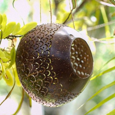 Primary image for Coconut Shell Hanging Birdhouse from Indonesia Sea Scales