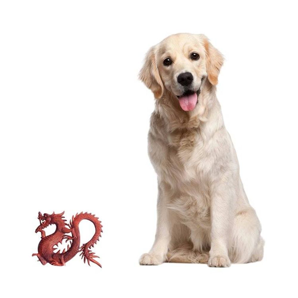 Alternate item image