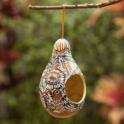 Alternate image for Handmade Dried Gourd Birdhouse with Andean and Bird Details Garden Chant