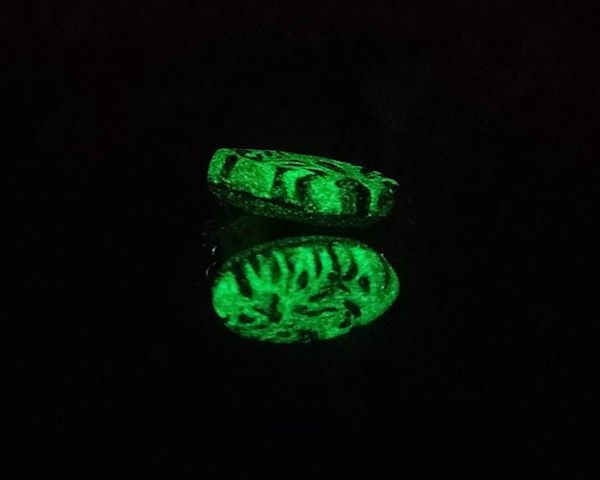 Alternate image for Animal Print Glow in the Dark Stud Earrings