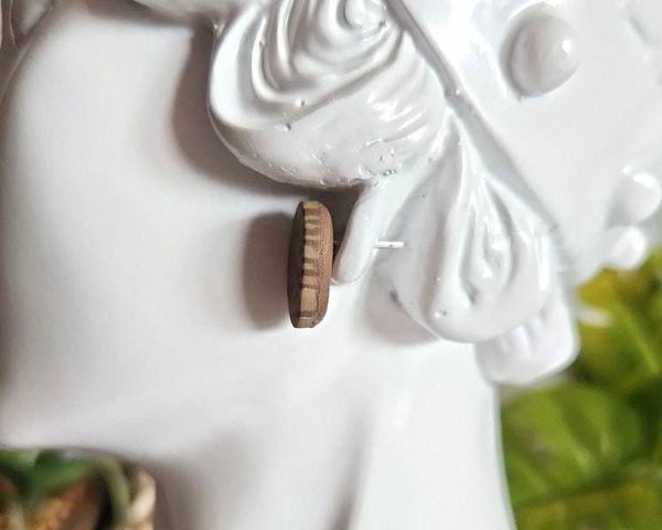 Alternate image for Animal Print Glow in the Dark Stud Earrings