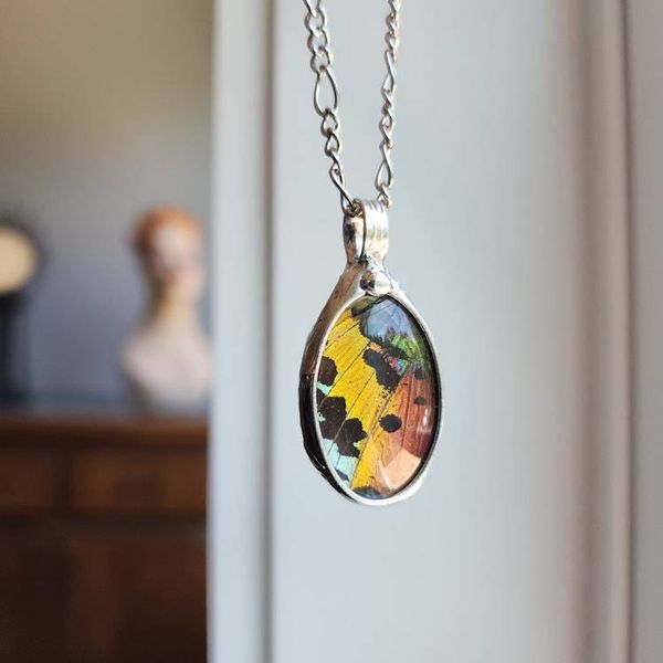 Alternate image for Butterfly Wing Pendant Necklace for Women, Real Sunset Moth Wing Jewelry, Insect Jewelry, Quality Glass Not Resin