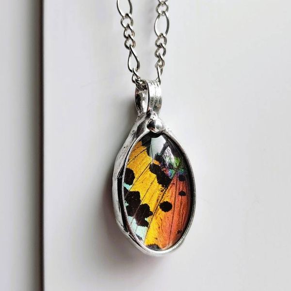 Alternate image for Butterfly Wing Pendant Necklace for Women, Real Sunset Moth Wing Jewelry, Insect Jewelry, Quality Glass Not Resin