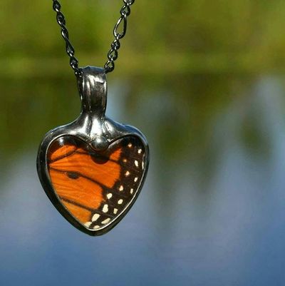 Alternate image for Butterfly Wing Necklace for Women, Heart Pendant, Real Monarch Butterfly Jewelry, Valentines Gift for Her