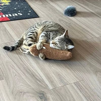 Alternate image for Handcrafted Giant Kicker Mouse with Catnip/Silvervine
