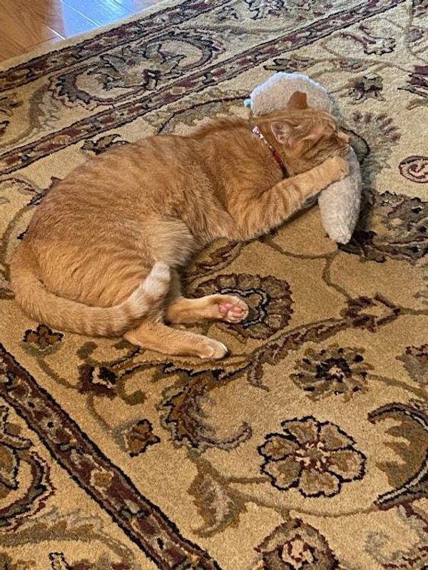 Alternate image for Handcrafted Giant Kicker Mouse with Catnip/Silvervine