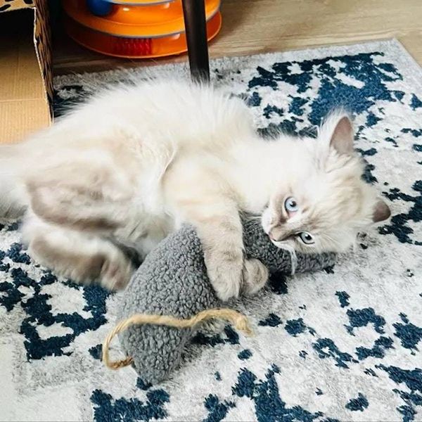 Alternate image for Handcrafted Giant Kicker Mouse with Catnip/Silvervine