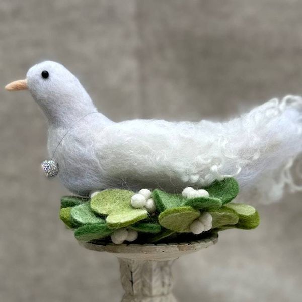Main image for Good-Feathers