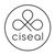 Ciseal