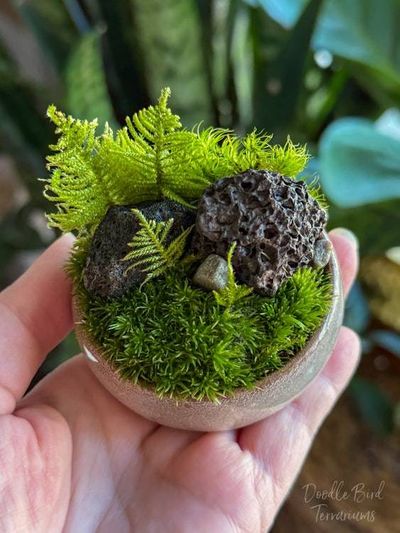 Alternate image for Mini Moss Terrarium Ceramic Dish Garden – Lava Rock, Fern Moss, Dusty Rose Planter