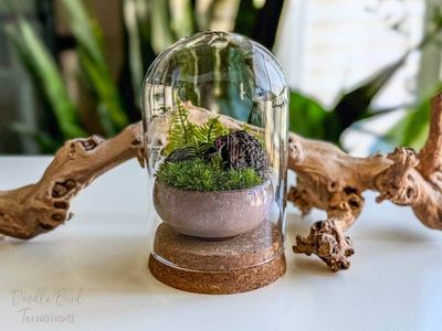 Alternate image for Mini Moss Terrarium Ceramic Dish Garden – Lava Rock, Fern Moss, Dusty Rose Planter