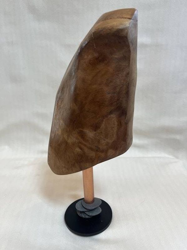 Alternate image for Grounding Energy Hand-Shaped Nature Art From a Vintage Tree Root