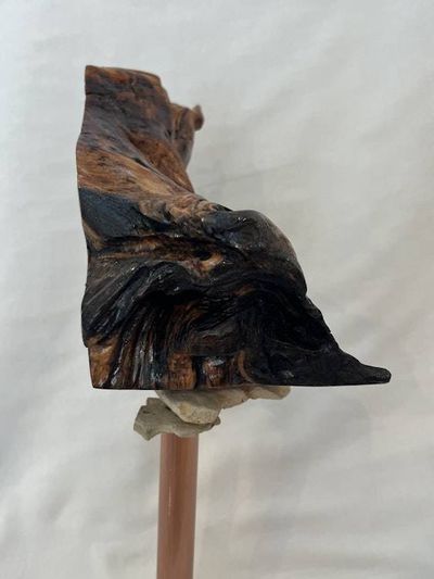 Alternate image for Swirling Energy Hand-Shaped Nature Art From a Vintage Tree Root