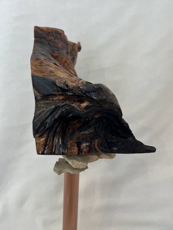 Alternate image for Swirling Energy Hand-Shaped Nature Art From a Vintage Tree Root