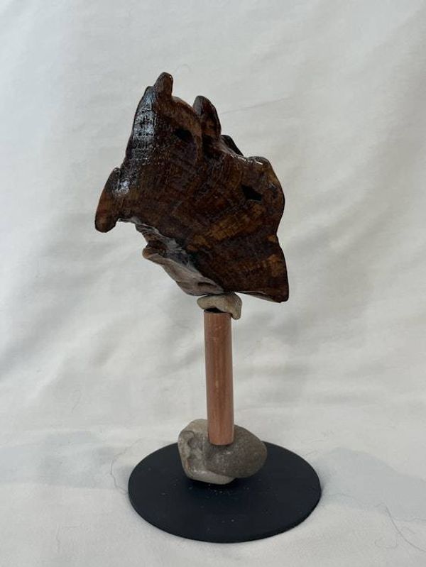 Alternate image for Mahogany Hand-Shaped Nature Art From a Vintage Tree Root