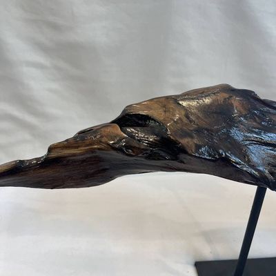 Alternate image for Wave Length Hand-Shaped Nature Art From a Vintage Tree Root