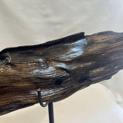 Alternate image for Wave Length Hand-Shaped Nature Art From a Vintage Tree Root