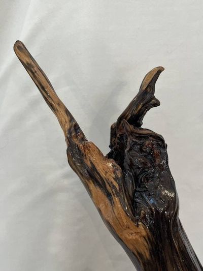 Alternate image for Sky Reach II Hand-Shaped Nature Art From a Vintage Tree Root