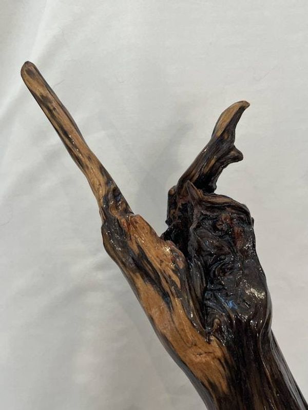 Alternate image for Sky Reach II Hand-Shaped Nature Art From a Vintage Tree Root