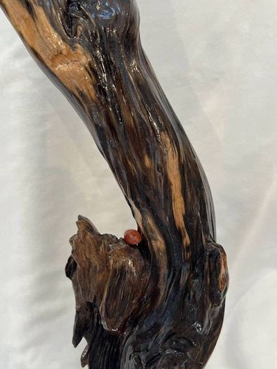 Alternate image for Sky Reach II Hand-Shaped Nature Art From a Vintage Tree Root