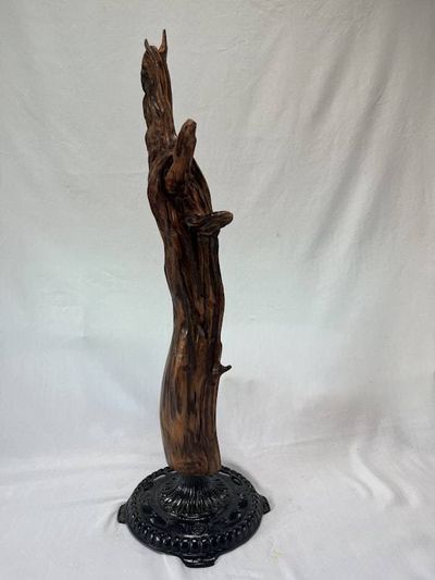 Alternate image for Sky Reach Hand-Shaped Nature Art From a Vintage Tree Root