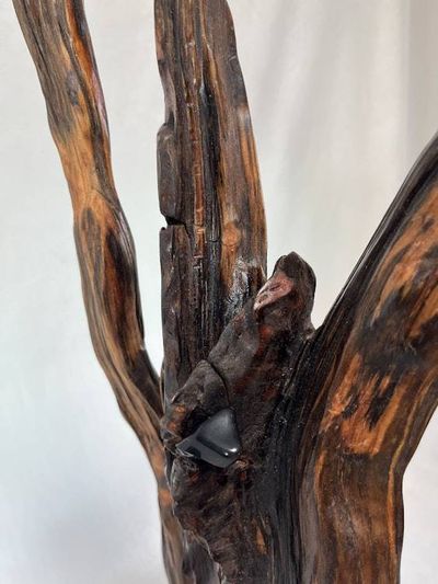 Alternate image for Three Directions Hand-Shaped Nature Art From a Vintage Tree Root