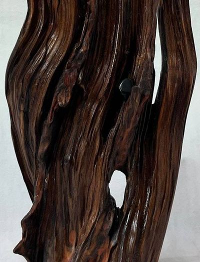 Alternate image for Three Directions Hand-Shaped Nature Art From a Vintage Tree Root