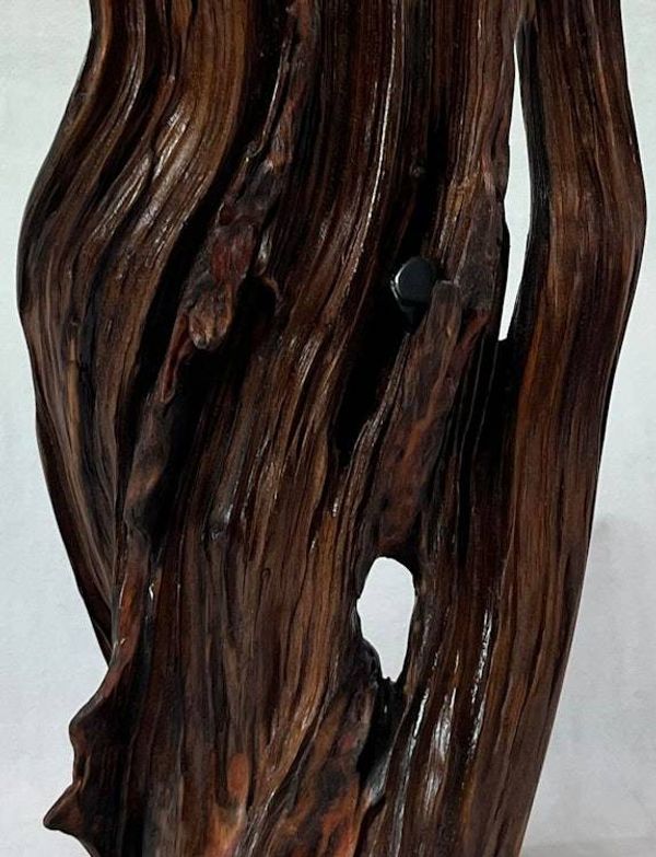 Alternate image for Three Directions Hand-Shaped Nature Art From a Vintage Tree Root