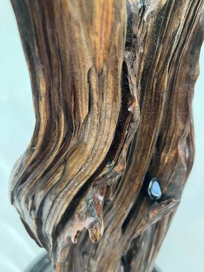 Alternate image for Three Directions Hand-Shaped Nature Art From a Vintage Tree Root