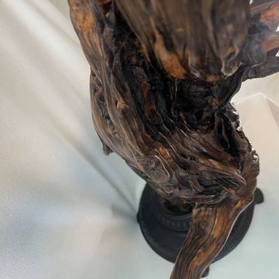 Alternate image for Running Tree Hand-Shaped Nature Art From a Vintage Tree Root