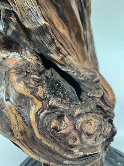 Alternate image for Root Heart Hand-Shaped Nature Art From a Vintage Tree Root