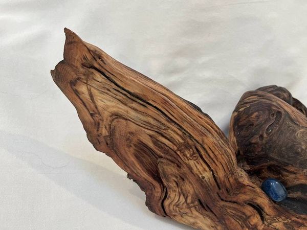 Alternate image for Burl Majesty Hand-Shaped Nature Art From a Vintage Tree Root