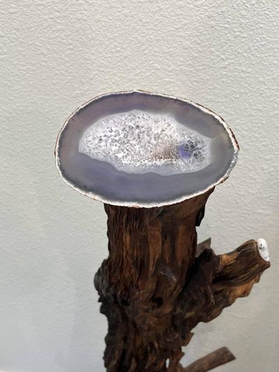 Alternate image for Howling Wolf - Hand Shaped Nature Art From a Vintage Tree Root