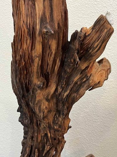 Alternate image for Howling Wolf - Hand Shaped Nature Art From a Vintage Tree Root