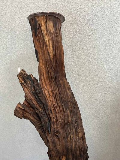 Alternate image for Howling Wolf - Hand Shaped Nature Art From a Vintage Tree Root