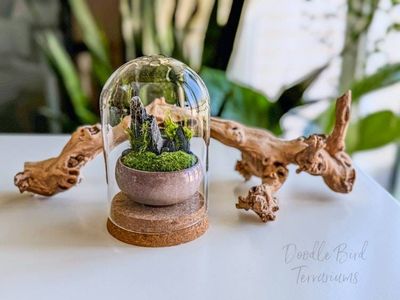 Alternate image for Set of 3 Small Dish Garden Terrariums: Southwestern, Highlands, and Woodland Landscapes