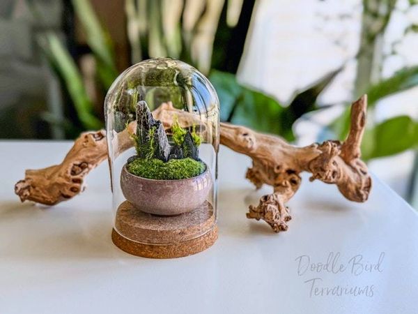 Alternate image for Set of 3 Small Dish Garden Terrariums: Southwestern, Highlands, and Woodland Landscapes