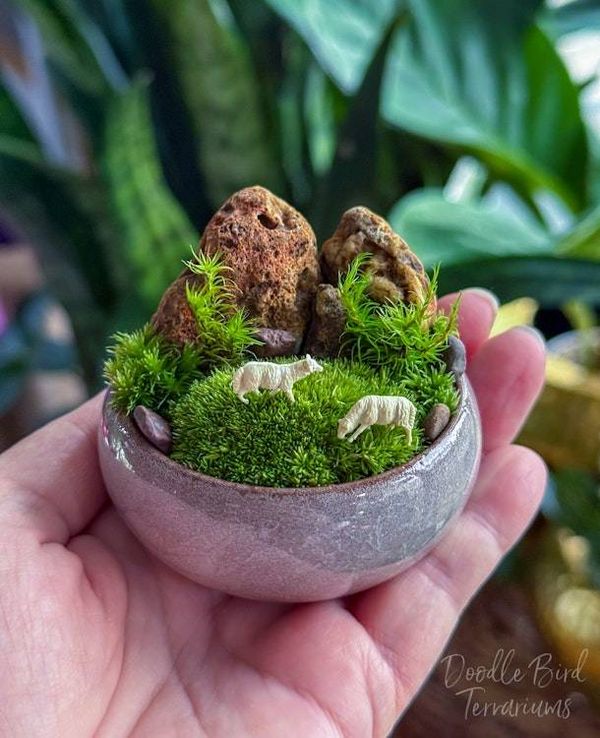 Alternate image for Southwest Rocky Moss Dish Garden with Tiny Glass Terrarium Dome and Natural Rustic Stone