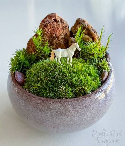 Alternate image for Southwest Rocky Moss Dish Garden with Tiny Glass Terrarium Dome and Natural Rustic Stone