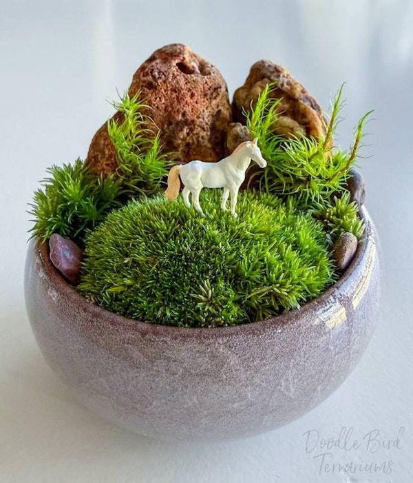Alternate image for Southwest Rocky Moss Dish Garden with Tiny Glass Terrarium Dome and Natural Rustic Stone