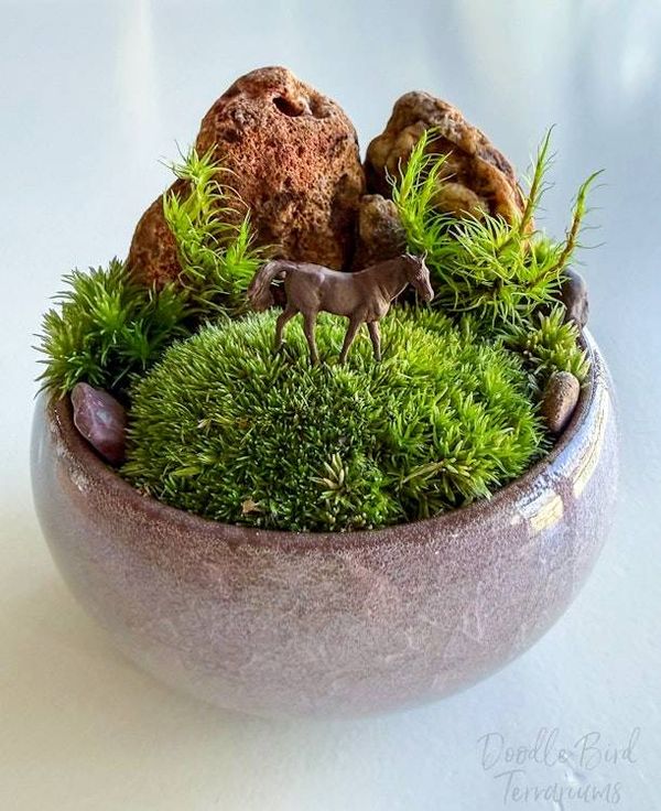 Alternate image for Southwest Rocky Moss Dish Garden with Tiny Glass Terrarium Dome and Natural Rustic Stone