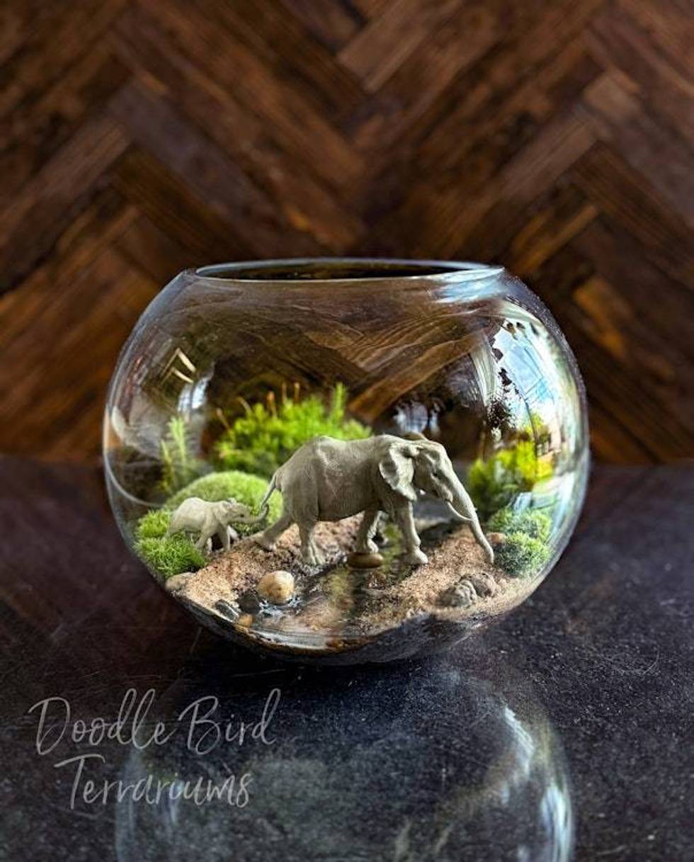 Gentle Giants: African Journey Mother & Calf Elephant Terrarium Diorama