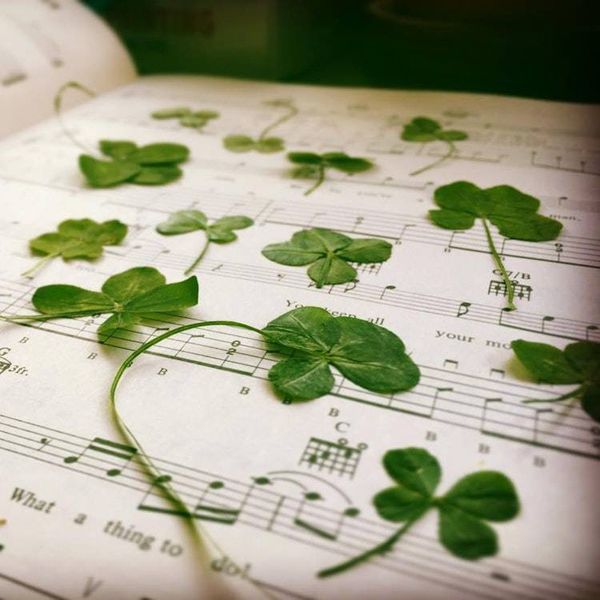 Main image for Jon Gorey Craft & Clover