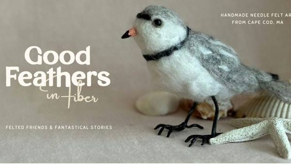 Main image for Good-Feathers