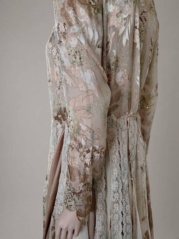 Alternate image for Victorian inspired lace overlay and maxi dress with long sleeves in champagne