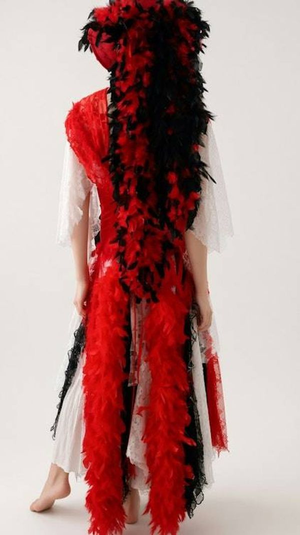 Alternate image for Red and white theatrical or Halloween Pirate costume with feathered at and layered skirt and hat