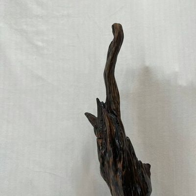 Alternate image for ‘Mountain Lion Evening Star Protector Hand-Shaped Nature Art From a Vintage Tree Root