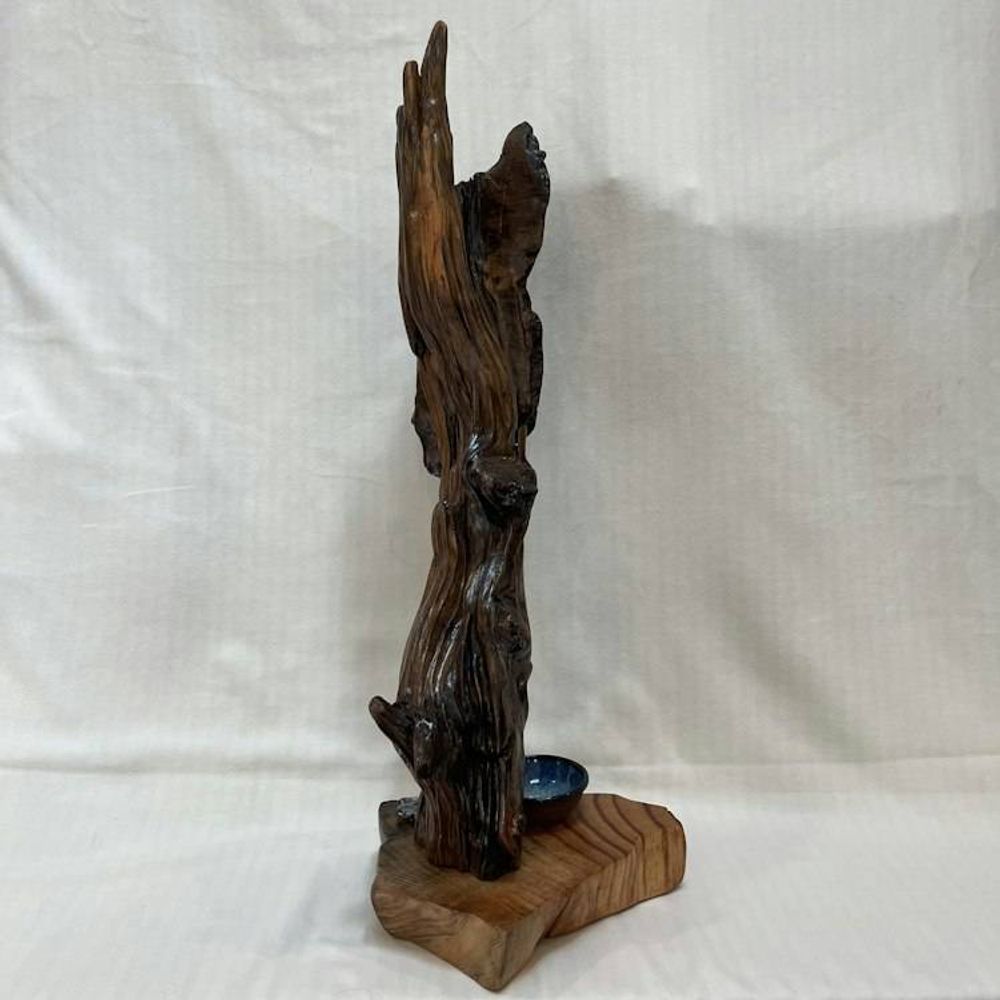 Main item image