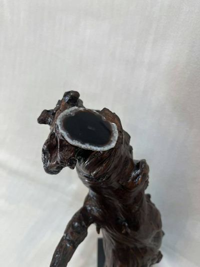Alternate image for ‘Bob Cat Evening Star Protector’ Hand-Shaped Nature Art From a Vintage Tree Root